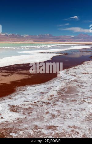 Laguna Tebenquicne, un lagon d'eau salée dans le Salar de Atacama, réserve nationale de Los Flamencos, Chili. Banque D'Images