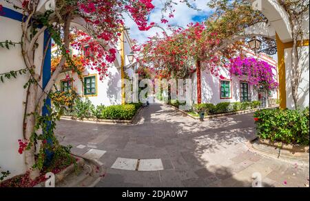 Rue avec des fleurs à Puerto de Mogan, Gran Canaria island, Espagne Banque D'Images
