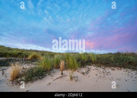 Belles couleurs bleu et rose du soleil se coucher derrière une dune, au coucher du soleil. Banque D'Images