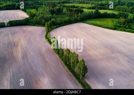 Une antenne d'un paysage de campagne en mosaïque avec de petits champs séparés par des buissons et des arbres. Banque D'Images