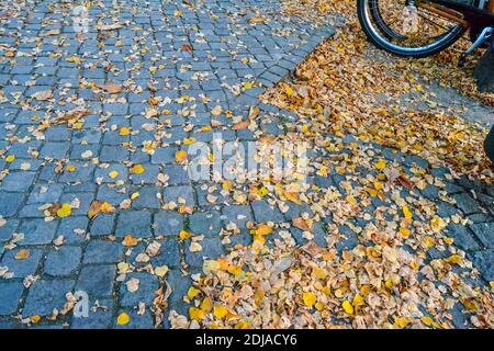 05.11.2011. Berlin. Allemagne. Berlin en automne. Feuilles séchées et jaunes sur les rues pavées. Banque D'Images