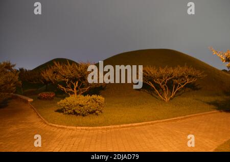 Anciens tumulus dans le parc tumuli (complexe de tombes Daereungwon), Gyeongju, couvert de pelouses et de pins Banque D'Images