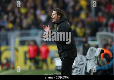 Dortmund, Allemagne. 09th Feb, 2019. Firo: 09.02.2019, football, 1ère Bundesliga, saison 2018/2019, BVB, Borussia Dortmund - TSG Hoffenheim co-coach Edin Terzic (36), BVB | usage dans le monde crédit: dpa/Alay Live News Banque D'Images