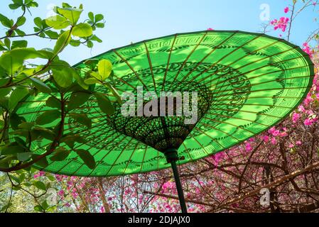 Parapluie birman traditionnel vert dans le jardin, Birmanie, Myanmar Banque D'Images