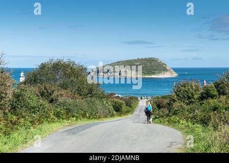 Puffin Island ou Ynys Seiriol de la côte d'Anglesey Pays de Galles du Nord Royaume-Uni Banque D'Images