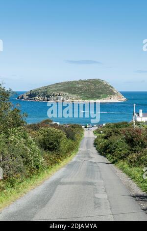 Puffin Island ou Ynys Seiriol de la côte d'Anglesey Pays de Galles du Nord Royaume-Uni Banque D'Images