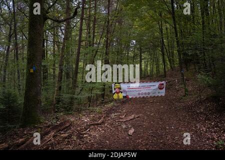 Pas de passage à cause des travaux forestiers dans la forêt du Palatinat, en Allemagne Banque D'Images