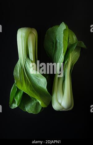 Deux Bok Choy entiers, ou des légumes verts chinois de chou contre isolé sur un fond noir. Banque D'Images