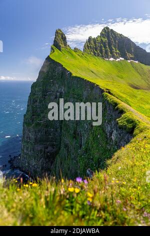 Falaises de Hornbjarg dans la réserve naturelle de Hornstrandir, nord-est de l'Islande