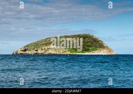 Puffin Island ou Ynys Seiriol de la côte d'Anglesey Pays de Galles du Nord Royaume-Uni Banque D'Images