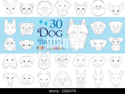 Collection de races de chiens Volume 1: Ensemble de 30 races de chiens différentes pour colorier dans le style de dessin animé. Illustration de Vecteur