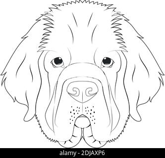 Illustration vectorielle de dessin animé à colorier facile pour chien de Terre-Neuve. Isolé sur fond blanc Illustration de Vecteur