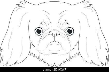 Illustration vectorielle de dessin animé à colorier pour chien pékinois. Isolé sur fond blanc Illustration de Vecteur