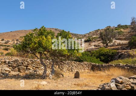 Site archéologique de Skarkos - colonie de l'âge de bronze précoce sur l'île d'iOS, Cyclades, Grèce. C'est l'un des plus importants sites préhistoriques de Banque D'Images