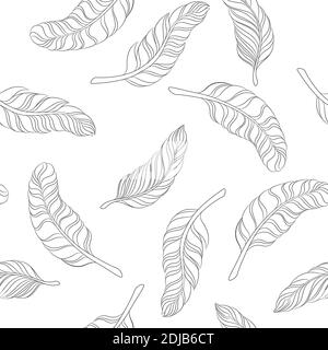 motif sans couture plumes noires sur fond blanc. Illustration de Vecteur