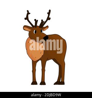 Isolé mignon dessin main cerf ou caribou avec bois sur fond blanc Illustration de Vecteur