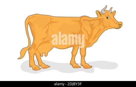 illustration vectorielle de la vache isolée sur fond blanc Illustration de Vecteur