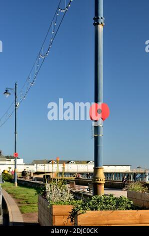 Un grand coquelicot sur un lampadaire pour commémorer le jour du souvenir au Royaume-Uni. Banque D'Images