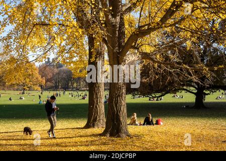 Les moutons Meadow est une zone tranquille dans Central Park, NYC, USA Banque D'Images