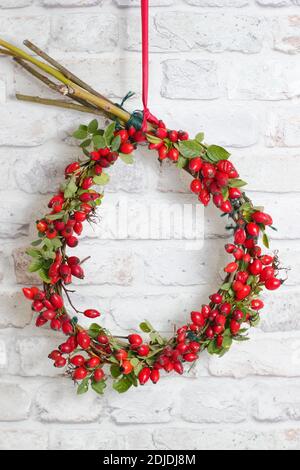 Couronne d'automne faite maison avec des rosehanches fourragées et un cadre en saule suspendu sur une porte en bois peint. ROYAUME-UNI Banque D'Images