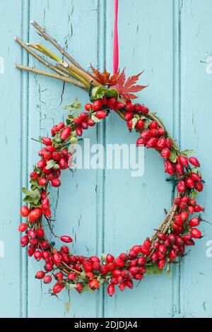 Couronne d'automne faite maison avec des rosehanches fourragées et un cadre en saule suspendu sur une porte en bois peint. ROYAUME-UNI Banque D'Images