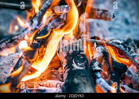 Gros plan de la flamme de feu de camp dans la nuit, comme arrière-plan Banque D'Images