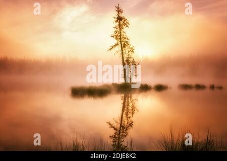 Lever du soleil et brouillard sur le lac Scott, Oregon Banque D'Images