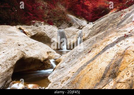Impressionnant ruisseau de montagne dans les montagnes Apuseni, la Gavane Banque D'Images