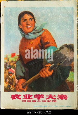 Une véritable affiche de propagande pendant la Révolution culturelle en Chine. Les personnages chinois se lisent comme suit : apprendre de Dazhai dans l'agriculture. Banque D'Images