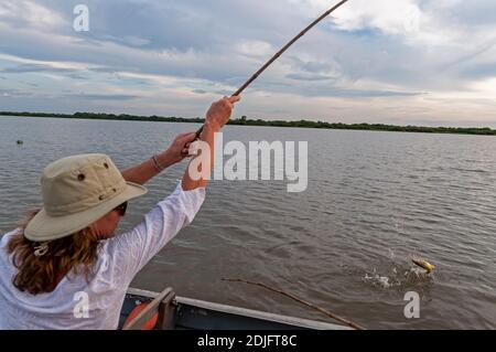 Un touriste brésilien accroche un poisson-chat à long fouet à bord d'un visite touristique de la faune sur la Mutum dans le Pantanal du Brésil Banque D'Images