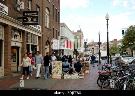 Cambridge, Massachusetts - septembre 2008 : scène de rue dans la ville de l'université de Harvard avec des vélos garés sur le côté droit Banque D'Images
