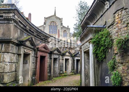 Londres/Royaume-Uni. 12.2.20. Le cercle du Liban dans la partie ouest du cimetière de Highgate, dans le nord de Londres Banque D'Images