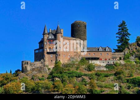 Château De Katz Au-Dessus De Saint-Goarshausen, Vallée Du Rhin, Rhénanie-Palatinat, Allemagne Banque D'Images