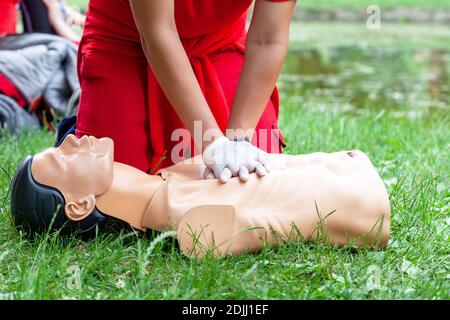Premiers soins et cours de RCP dans la nature Banque D'Images