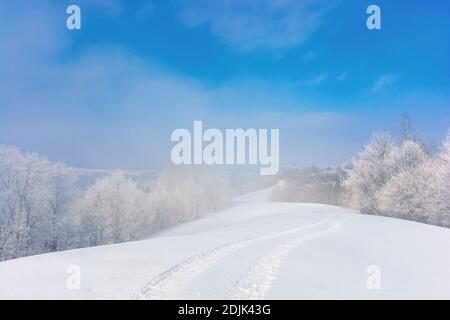 arbres dans la brume sur une colline enneigée. paysage de montagne d'hiver de conte de fées. temps gelé le matin ensoleillé Banque D'Images