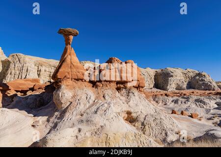 Magnifique paysage autour de Toadstool Hoodoos dans l'Utah Banque D'Images