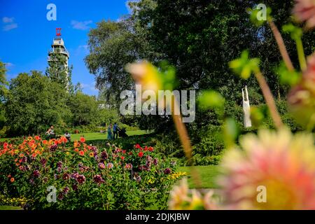 Essen, Rhénanie-du-Nord-Westphalie, région de la Ruhr, Allemagne, Grugapark, parc du Federal Garden Show 1965, fleurs de dahlias avec une vue vers la sculpture Orion à l'occasion de la Essen 2017 capitale verte de l'Europe. Banque D'Images