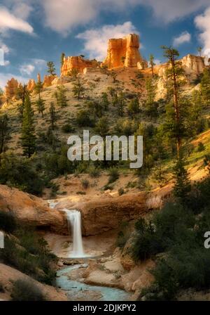 Chutes d'eau sur Tropic Ditch. Parc national de Zion, Utah Banque D'Images