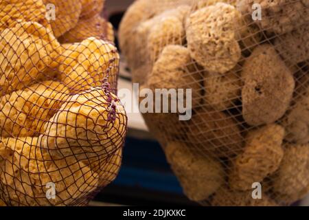 Collection d'éponges de mer naturelles marines pour l'espace spa et bien-être sur une échoppe de marché Banque D'Images