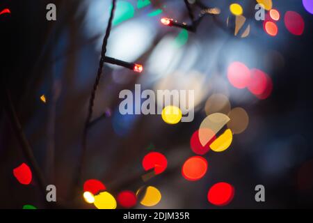 Guirlande lumineuse sur un arbre pour Noël Banque D'Images