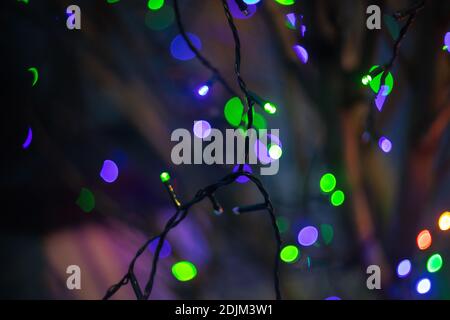 Guirlande lumineuse sur un arbre pour Noël Banque D'Images