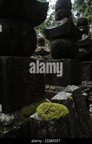 Japon/Préfecture de Wakayama/Koyasan/Torii et tombes sur le chemin menant à l'Okunoin du Mont Koya. Banque D'Images