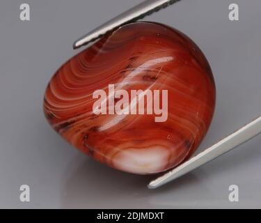 Agate brun naturel sur fond gris Banque D'Images