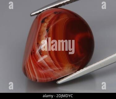 Agate brun naturel sur fond gris Banque D'Images