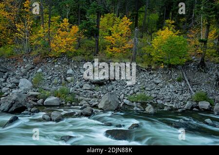 WA18746-00...WASHINGTON - temps d'automne le long de la rivière Wenatchee dans le canyon de Tumwater dans la forêt nationale de Wenatchee. Banque D'Images