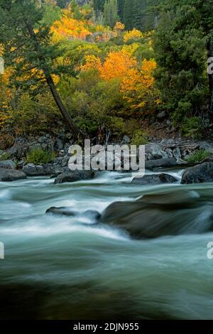 WA18748-00...WASHINGTON - temps d'automne le long de la rivière Wenatchee dans le canyon de Tumwater dans la forêt nationale de Wenatchee. Banque D'Images