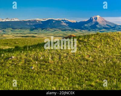 les collines des prairies le long du front de montagne rocheux et de l'oreille de montagne près de choteau, montana Banque D'Images