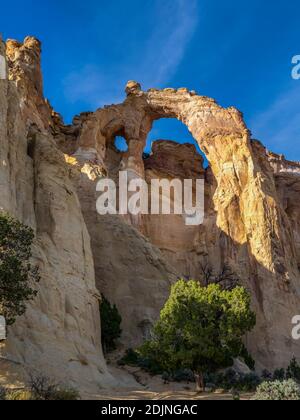 Grosvenor Arch, lavage de Cottonwood Road 400, Grand Staircase-Escalante National Monument au sud de Cannonville, Utah. Banque D'Images