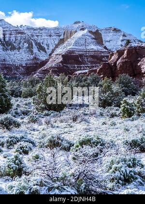 Jour de neige dans le parc, Parc d'état de Kodachrome Basin, Cannonville, Utah. Banque D'Images