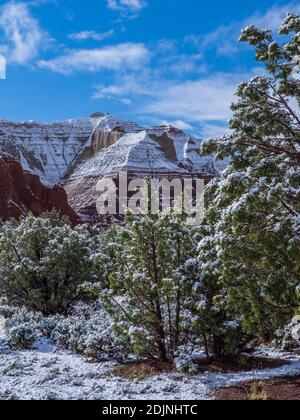 Jour de neige dans le parc, Parc d'état de Kodachrome Basin, Cannonville, Utah. Banque D'Images